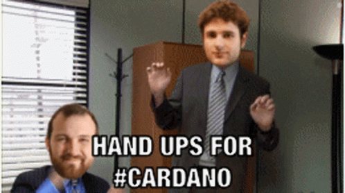 charles hoskinson cardano meme Best 10 Cardano NFT Marketplaces charles hoskinson cardano meme Best 10 Cardano NFT Marketplaces