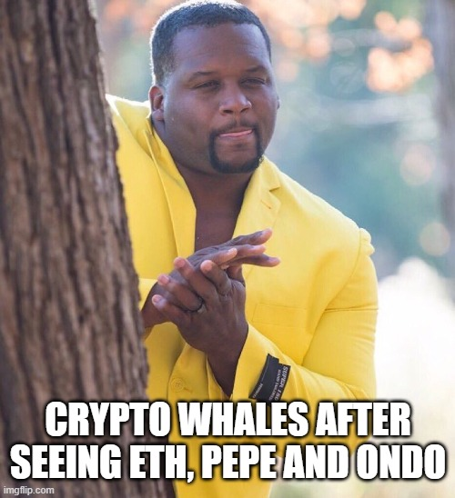 crypto whale These Are What Crypto Whales Are Buying Up In August 2024 crypto whale These Are What Crypto Whales Are Buying Up In August 2024