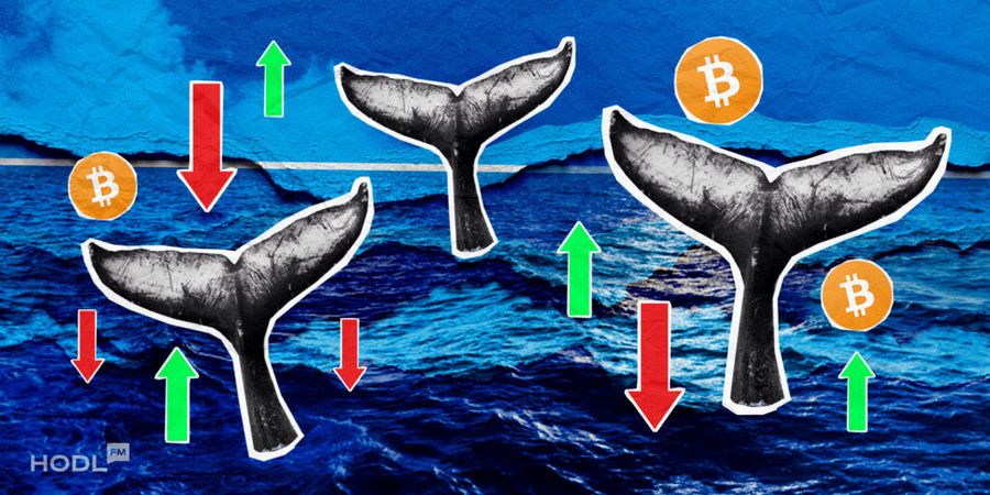 digest 20 3 min 1024x512 1 Grayscale Wins, Binance in SA, BTC Whales, SHIB Rises digest 20 3 min 1024x512 1 Grayscale Wins, Binance in SA, BTC Whales, SHIB Rises