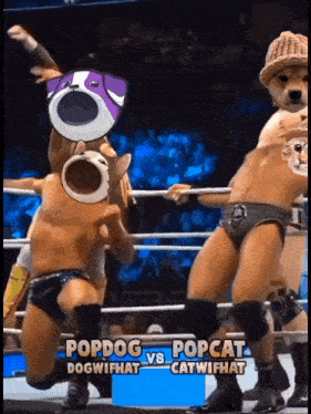 e1rsQUBmxZhINJ3Z5JToz5XTyCyJVj0f1zxquKk1qYmN8f1baO1kS0ol YdCvbh2SAwjrcqJZ3h nz7k2A1v9tPTKgsG5T p3Ggf Top Ranked Meme Coins Today e1rsQUBmxZhINJ3Z5JToz5XTyCyJVj0f1zxquKk1qYmN8f1baO1kS0ol YdCvbh2SAwjrcqJZ3h nz7k2A1v9tPTKgsG5T p3Ggf Top Ranked Meme Coins Today
