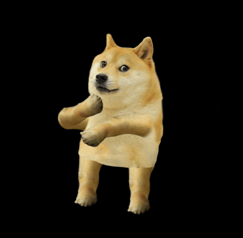 giphy 2 1 What’s Behind the Memecoins Mania? giphy 2 1 What’s Behind the Memecoins Mania?