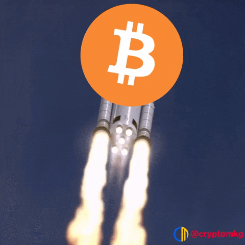 giphy 2 Bitcoin Unleashed: The Pros, the Cons, and the Crypto Rollercoaster Ride!