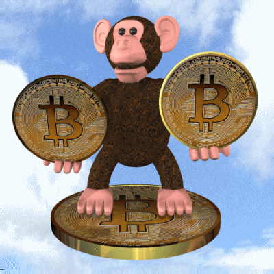 El Salvador Leads in Bitcoin Interest as Brazil Overtakes Nigeria in Google Trends