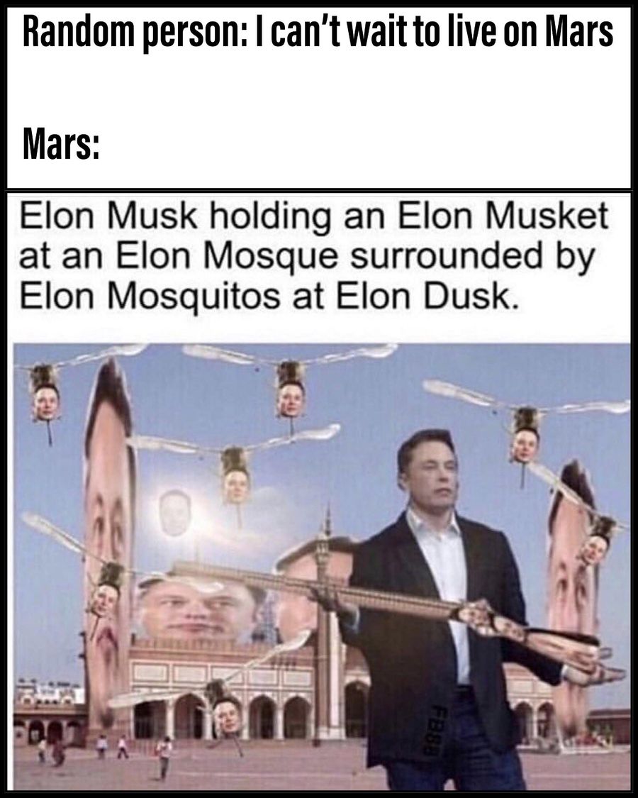 h1ypr8ey9cm61 Elon's Bitcoin Rodeo: How to HODL Like a Billionaire h1ypr8ey9cm61 Elon's Bitcoin Rodeo: How to HODL Like a Billionaire