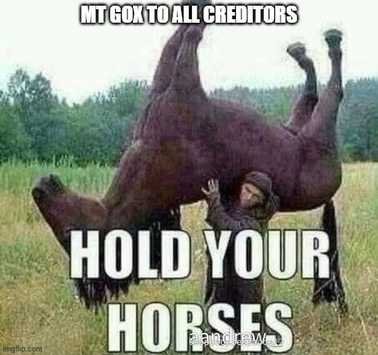 hold your horses Mt. Gox Finally Begins Bitcoin (BTC) And Bitcoin Cash (BCH) Repayments hold your horses Mt. Gox Finally Begins Bitcoin (BTC) And Bitcoin Cash (BCH) Repayments