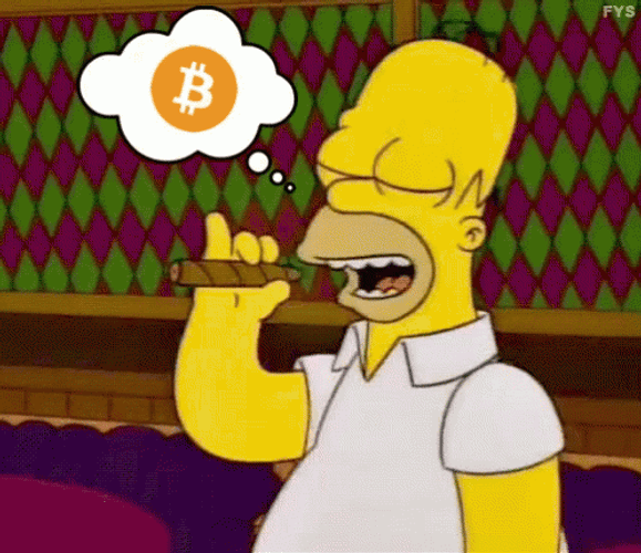 homer simpson thinking crypto smoking 7p7heynntbo4zahz What Determines the Price of Bitcoin?