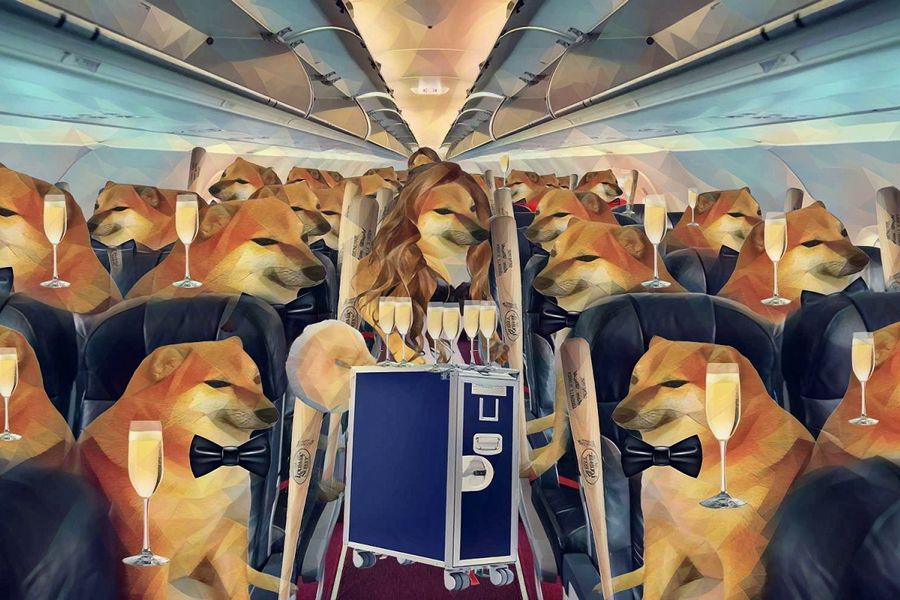 image 1 1 Exploring Bonk Inu (BONK): The Dogecoin of Solana