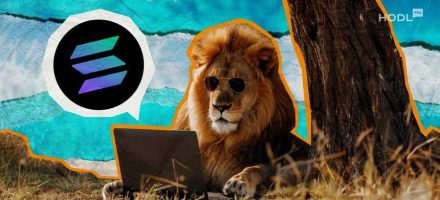 Solana’s NVT Ratio Drops While Bulls Hold the Line at $144