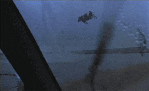 tornado GIF Paradigm Files Legal Brief for Roman Storm in Tornado Cash Case