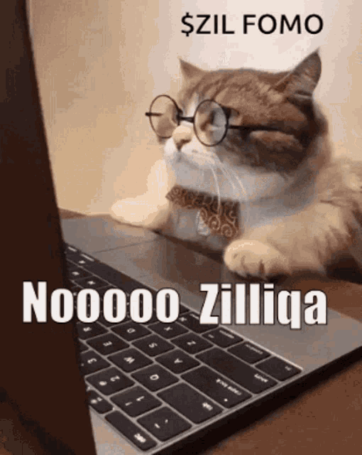 zilliqa zil Zilliqa's CMF Soars as 2.0 Launch Sparks Investor Excitement